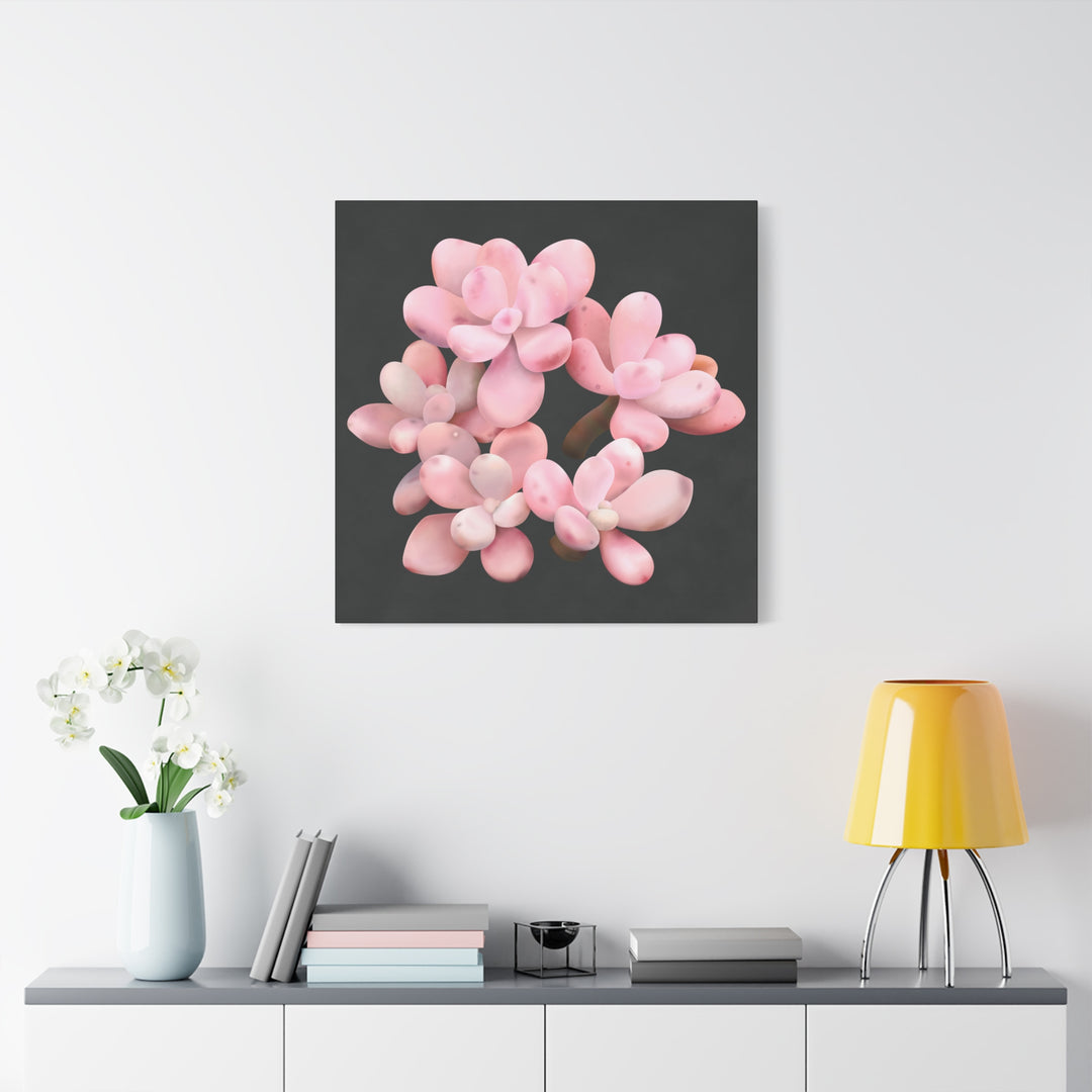 Pink Moonstone Canvas Print – Botanical Wall Art