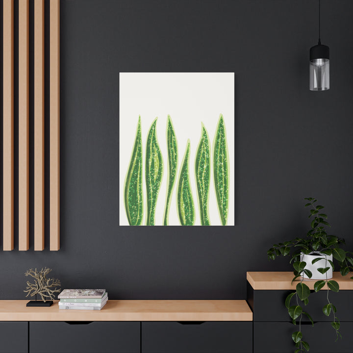 Snake Plant Canvas Print Matte 1.25 Inch Stretch Canvas Wall Art For Living Room Decor
