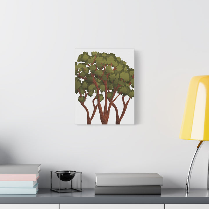 Pacific Madrone Canvas Print – Wall Art