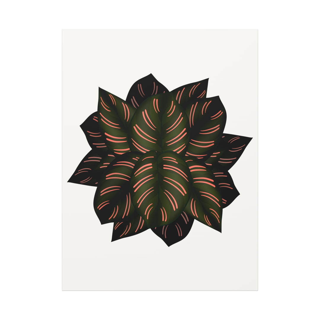 Calathea Pinstripe Canvas Botanical Wall Art Print On Stretched Cotton Canvas For Living Room Decor