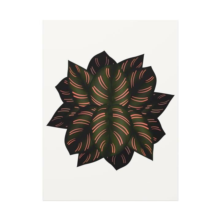 Calathea Pinstripe Canvas Botanical Wall Art Print On Stretched Cotton Canvas For Living Room Decor