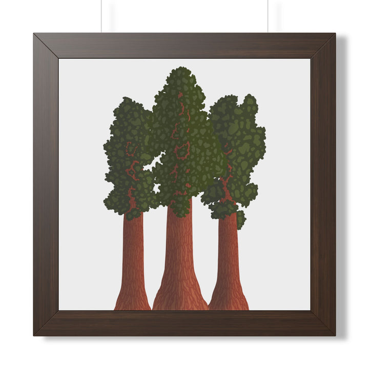 Giant Sequoias Framed Print – Wall Art