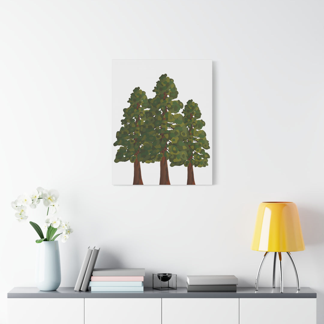 Coastal Redwoods Matte Canvas Print On 1.25 Inch Stretched Canvas For Serene Forest Wall Art In Living Rooms