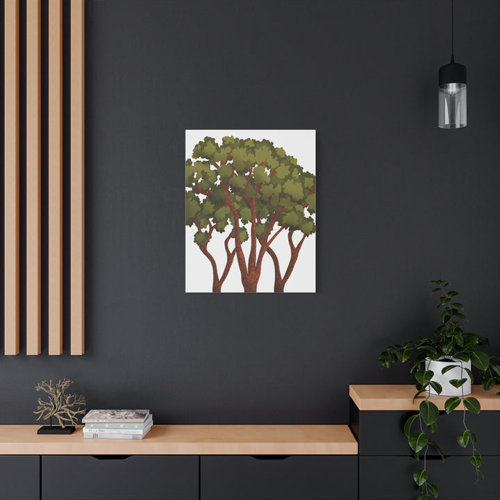 Pacific Madrone Canvas Print – Wall Art