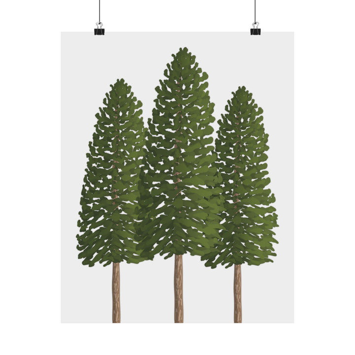 Ponderosa Pine Print – Unframed Wall Art
