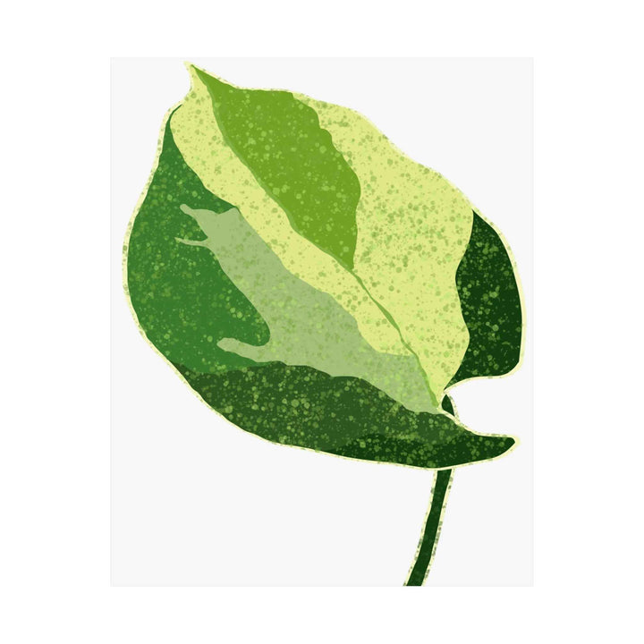 Pothos Wall Art – Botanical Poster on Museum Grade Paper | Indoor Plant Print Unframed - The Potted Pixel