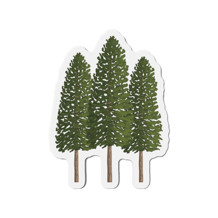 Ponderosa Pines Magnet