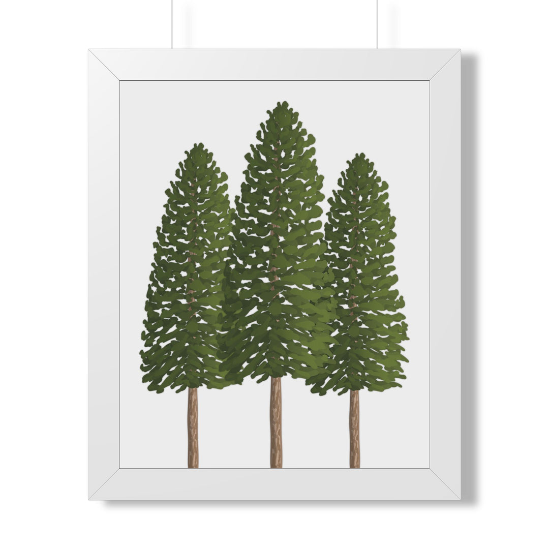 Ponderosa Pine Framed Print – Wall Art