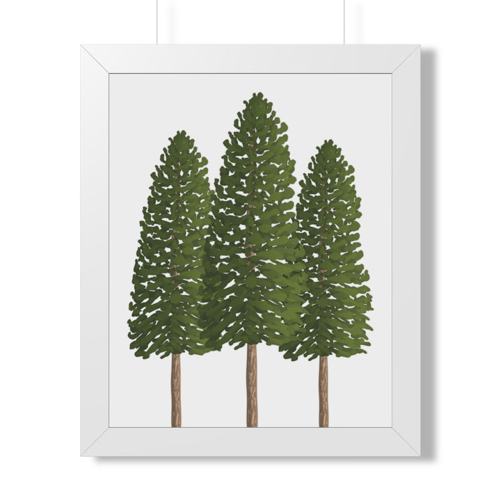 Ponderosa Pine Framed Print – Wall Art