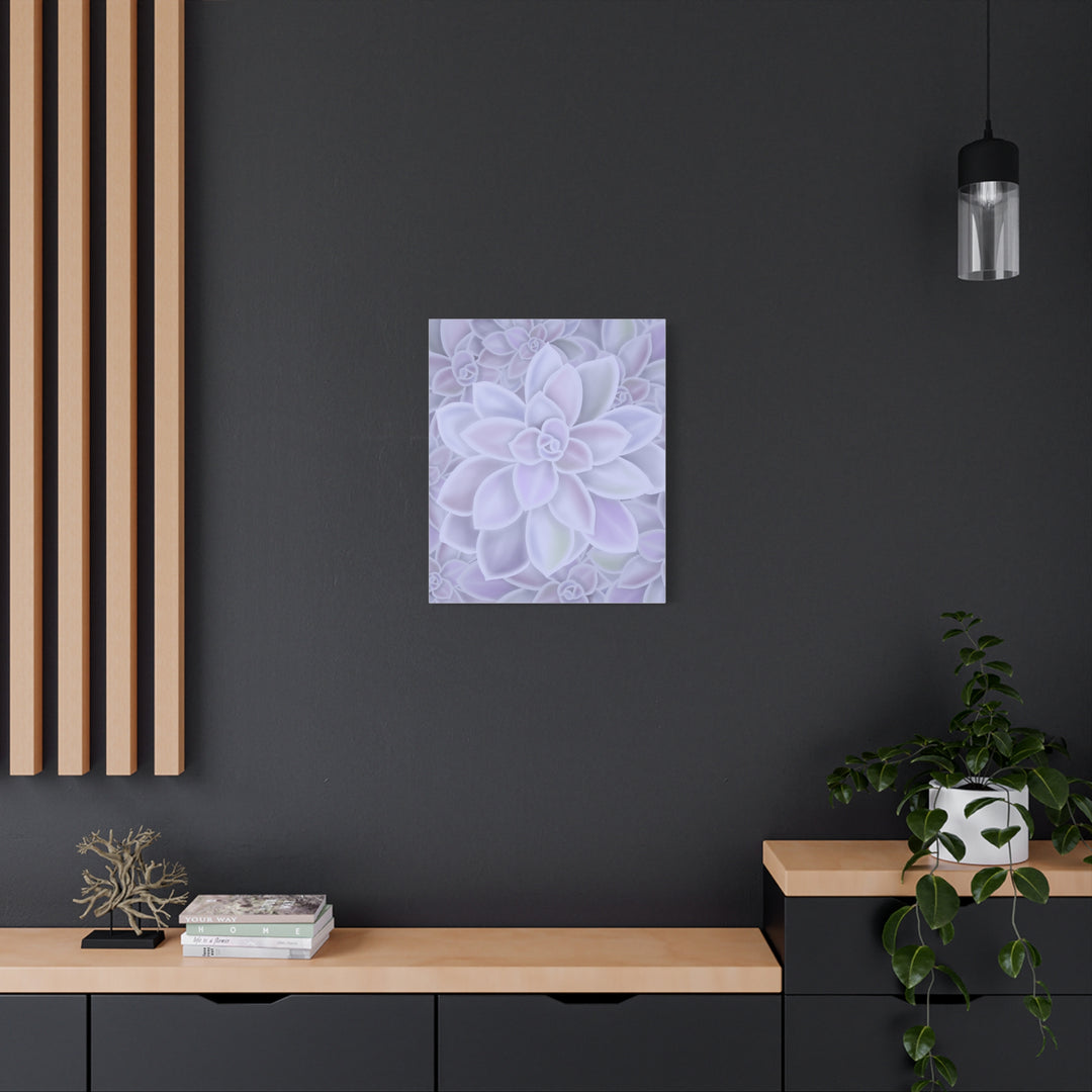 Graptopetalum Murasaki Succulent Canvas Art Print Pastel Purple Rosette Indoor Plant Decor