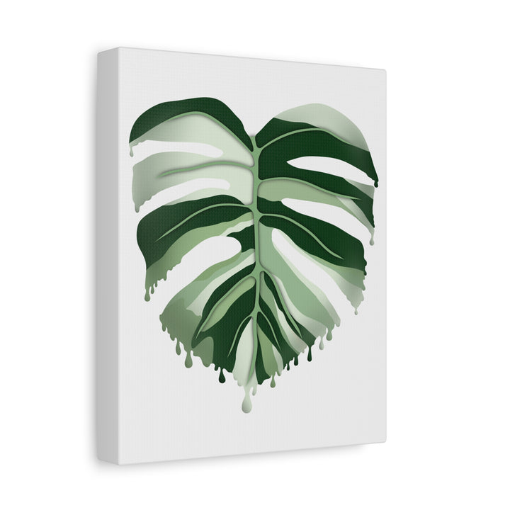 Melting Monstera Albo Canvas Large Indoor Wall Art Print Matte Finish Tropical Home Decor