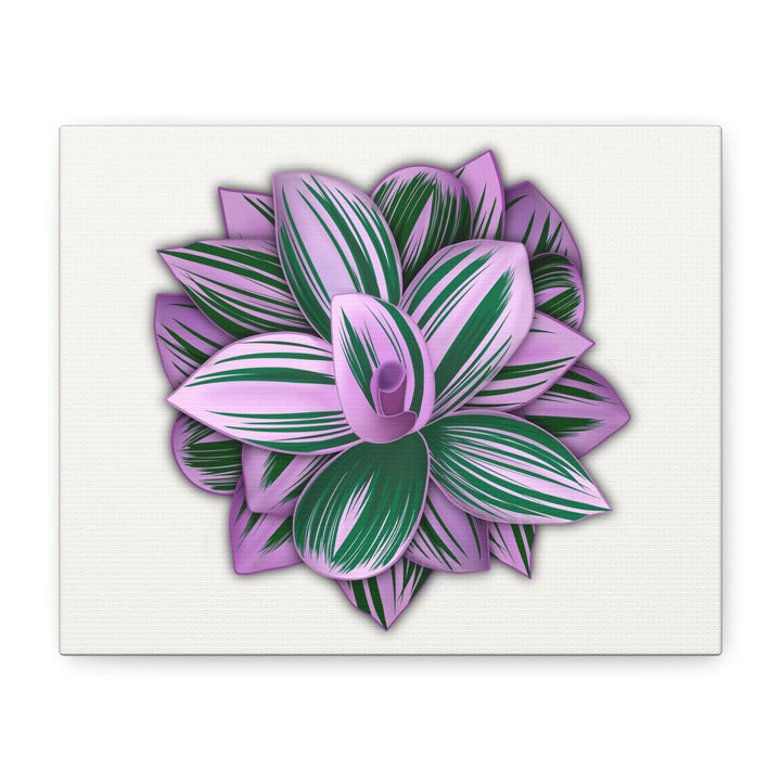 Tradescantia Nanouk Canvas Botanical Wall Art Print Pink Green Foliage On Stretched Cotton Canvas