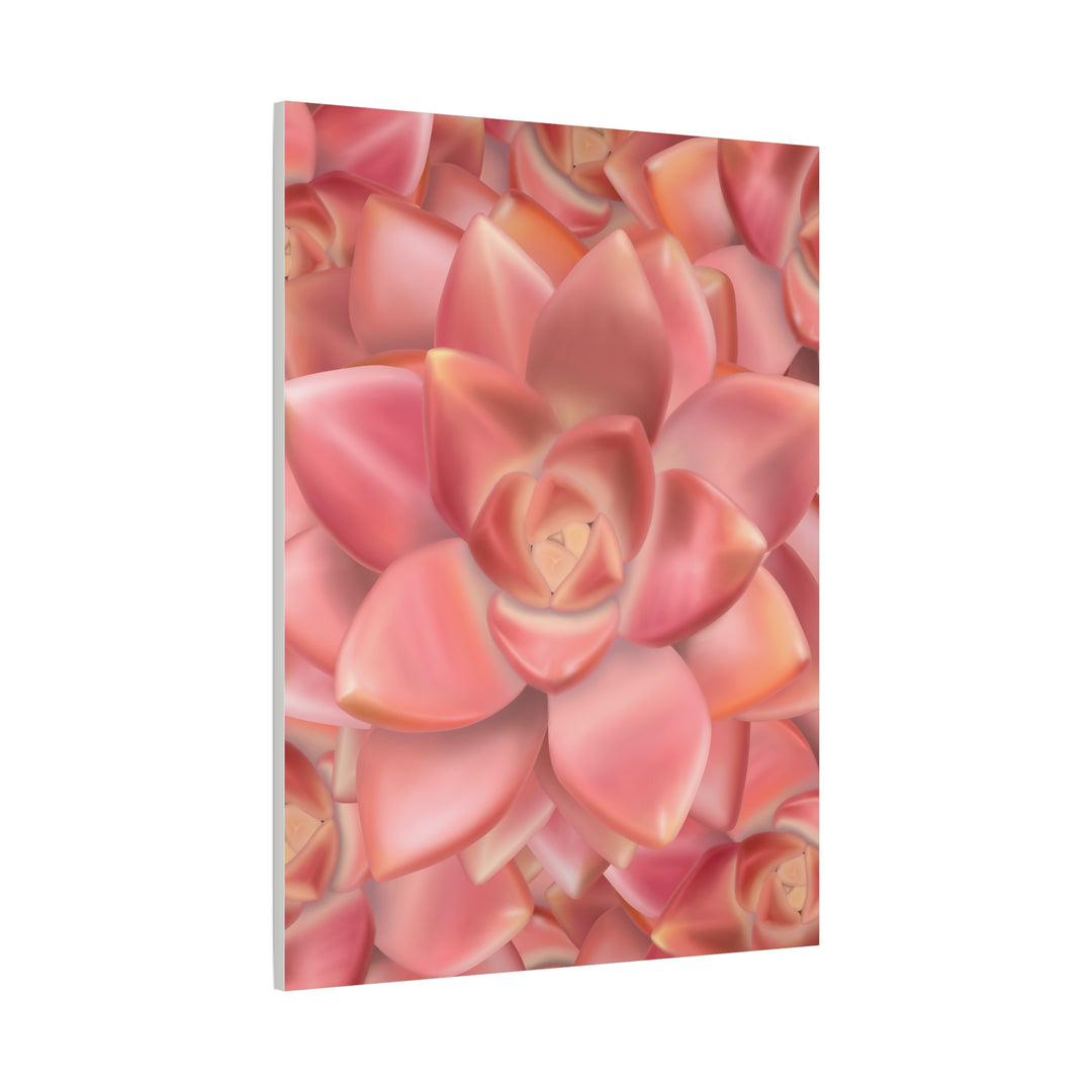 Graptosedum California Sunset Succulent Canvas Print – Botanical Wall Art - The Potted Pixel
