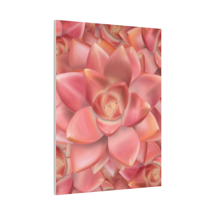 Graptosedum California Sunset Succulent Canvas Print – Botanical Wall Art - The Potted Pixel