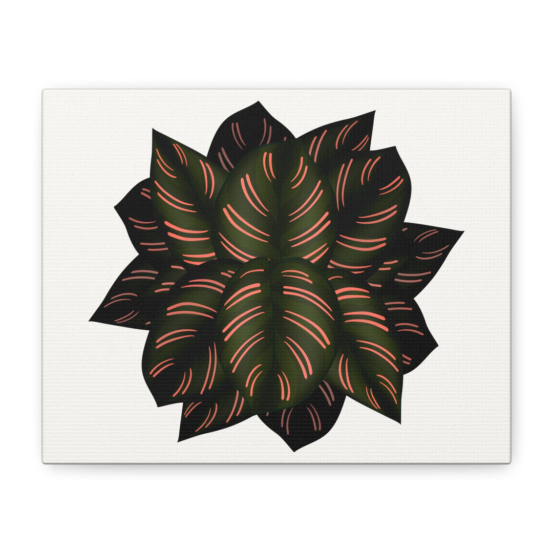 Calathea Pinstripe Canvas Botanical Wall Art Print On Stretched Cotton Canvas For Living Room Decor