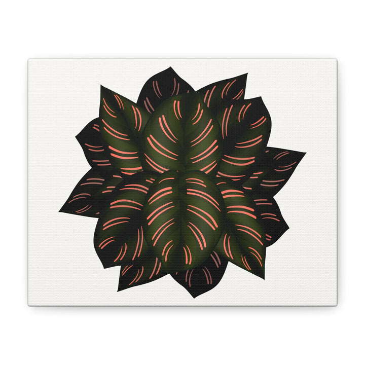 Calathea Pinstripe Canvas Botanical Wall Art Print On Stretched Cotton Canvas For Living Room Decor
