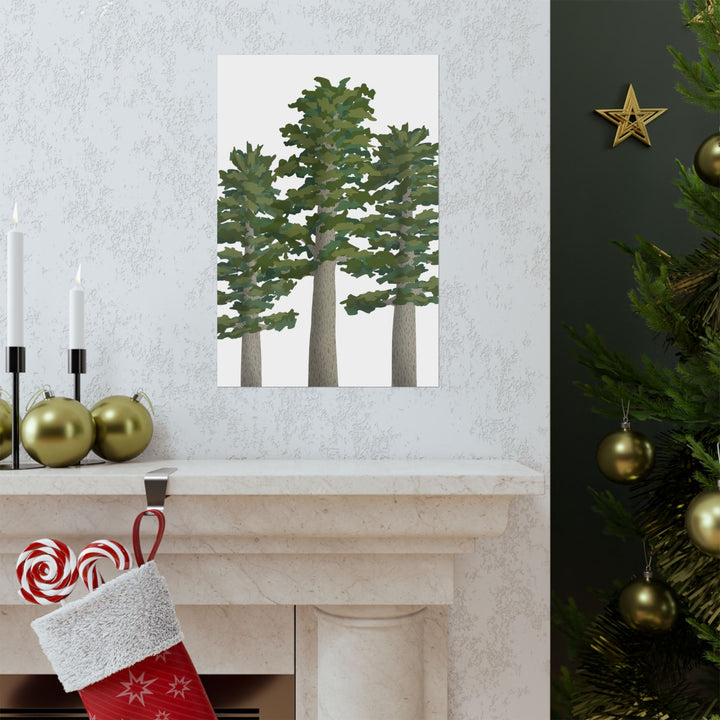 Sitka Spruce Print – Unframed Wall Art