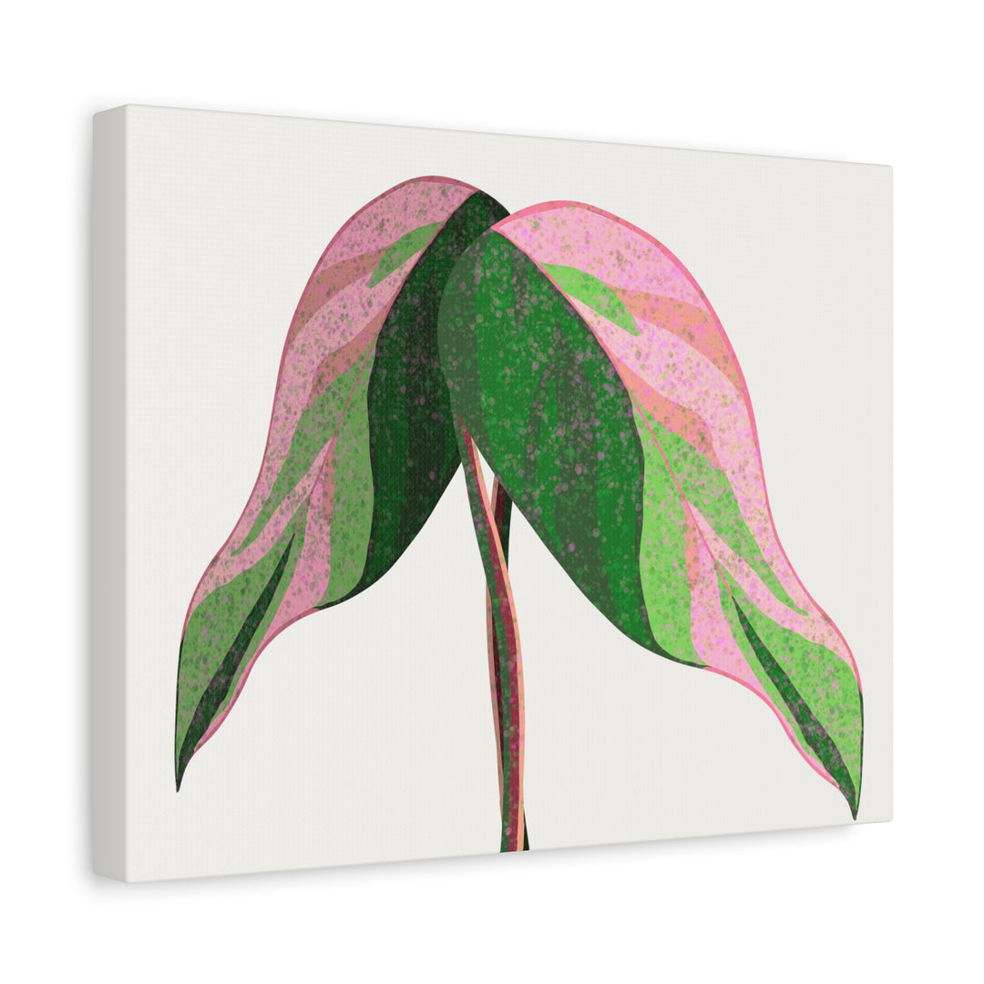 Pink Princess Philodendron Canvas Print Botanical Wall Art For Indoor Decor Modern Living Room Poster