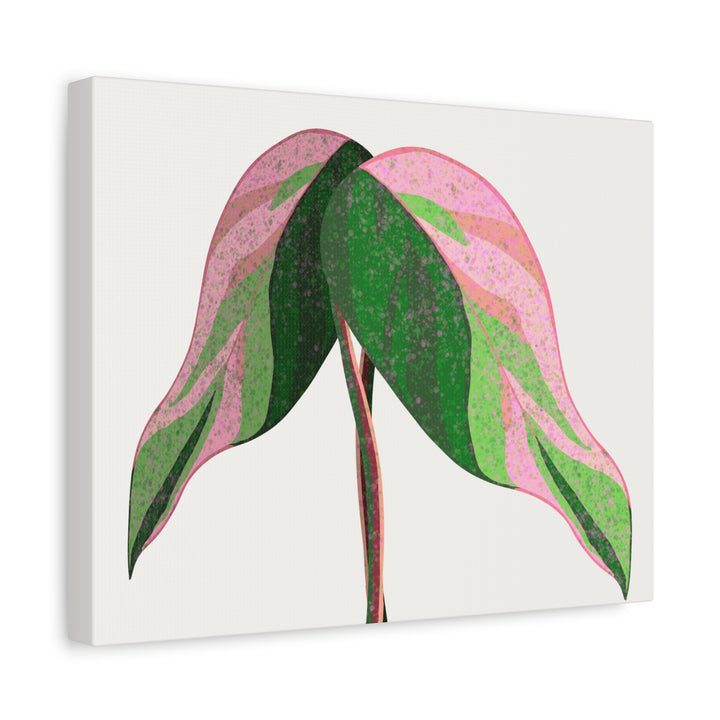 Pink Princess Philodendron Canvas Print Botanical Wall Art For Indoor Decor Modern Living Room Poster