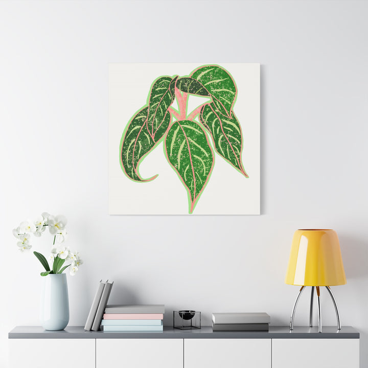 Aglaonema Sparkling Sarah Botanical Canvas Print On Matte Stretch Canvas For Modern Living Room Decor