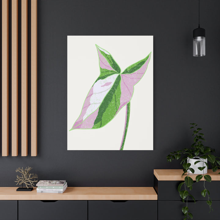 Syngonium Tricolor Canvas Print – Botanical Wall Art - The Potted Pixel