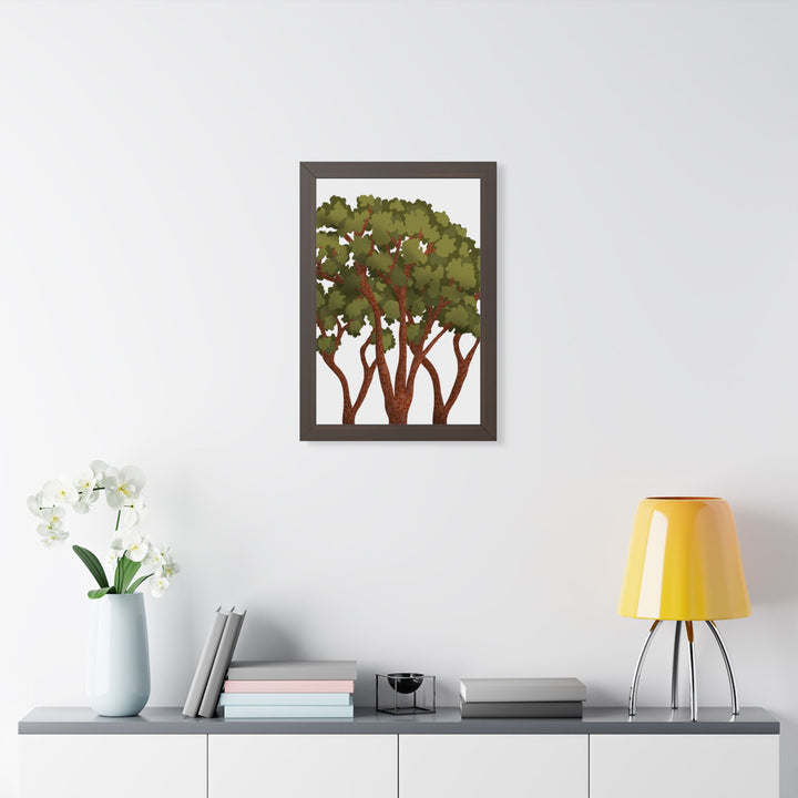 Pacific Madrone Framed Print – Wall Art