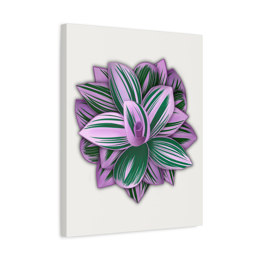 Tradescantia Nanouk Canvas Botanical Wall Art Print Pink Green Foliage On Stretched Cotton Canvas