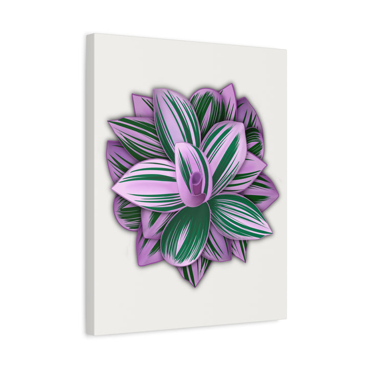 Tradescantia Nanouk Canvas Botanical Wall Art Print Pink Green Foliage On Stretched Cotton Canvas