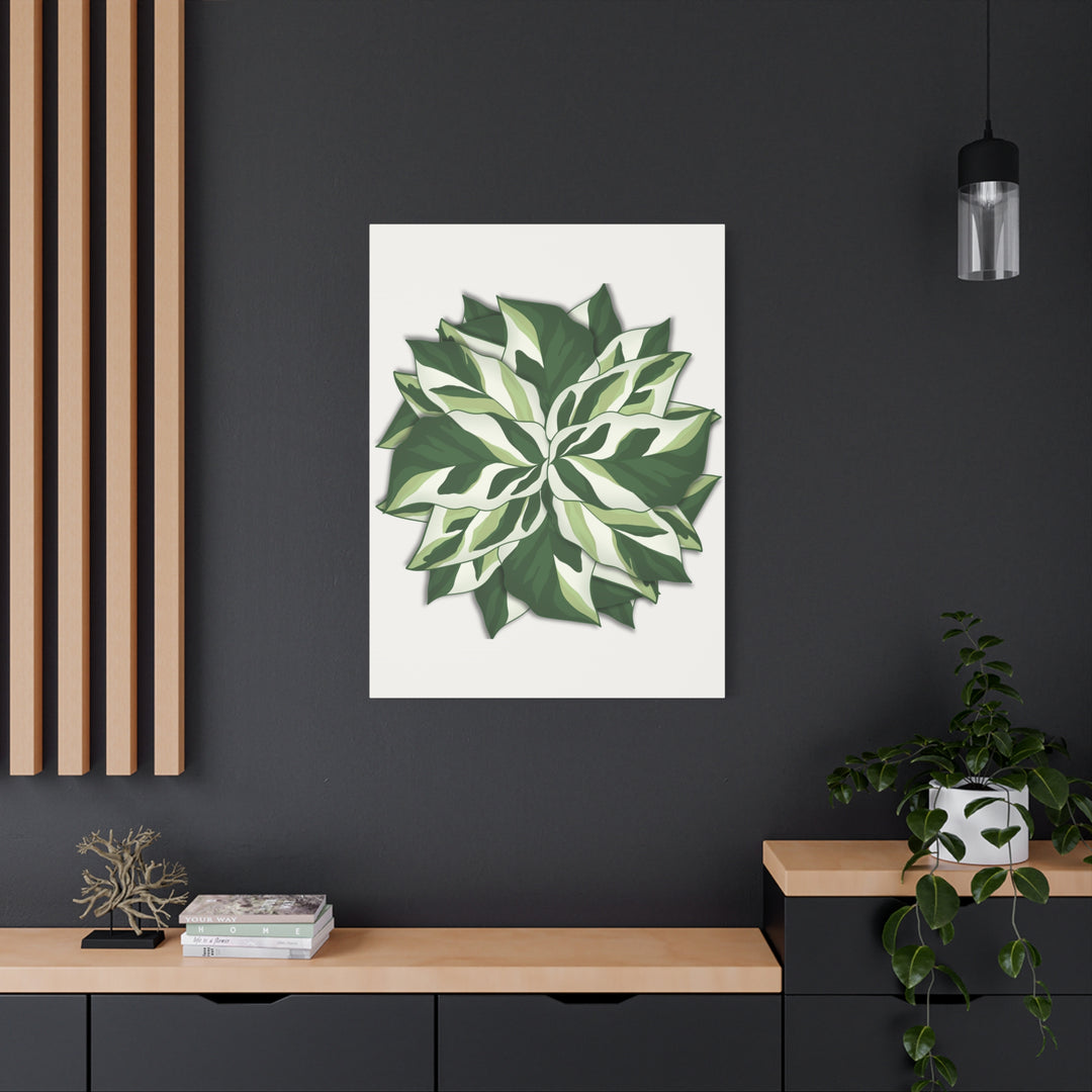 Calathea White Fusion Canvas Botanical Art Print On Stretched Cotton Canvas For Indoor Wall Decor