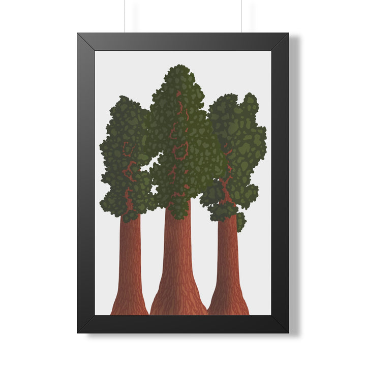Giant Sequoias Framed Print – Wall Art
