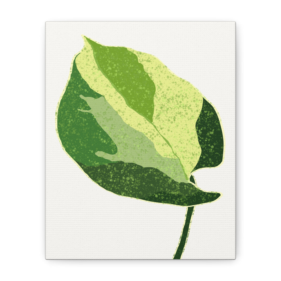 Manjula Pothos Botanical Canvas Print Matte Finish Stretched Canvas Wall Art 1.25 Inch Depth