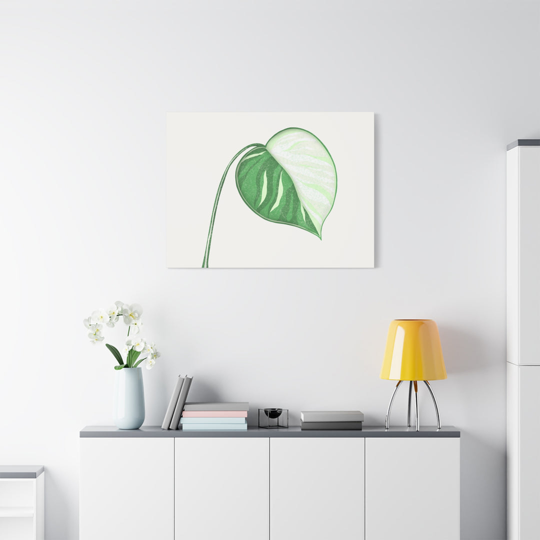 Monstera Albo Canvas Large Stretched Premium Quality Cotton Canvas Wall Art Tropical Leaf Poster Decor