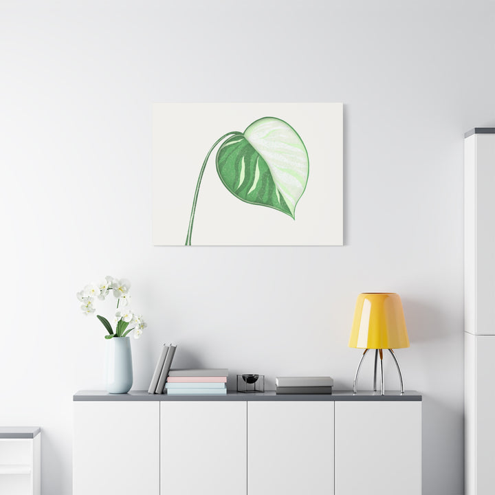 Monstera Albo Canvas Large Stretched Premium Quality Cotton Canvas Wall Art Tropical Leaf Poster Decor