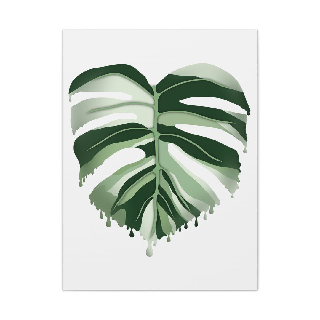 Melting Monstera Albo Canvas Large Indoor Wall Art Print Matte Finish Tropical Home Decor