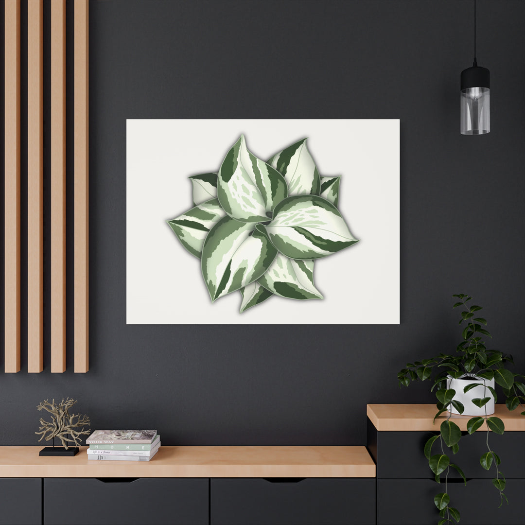 Manjula Pothos Canvas Print Stretched Matte Canvas Wall Art For Living Room And Office