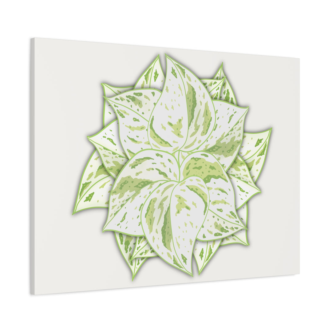 Snow Queen Pothos Canvas Wall Art Variegated Indoor Plant Leaf Poster Print Cotton Canvas