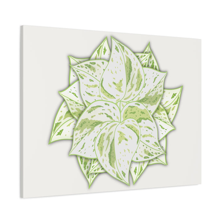 Snow Queen Pothos Canvas Wall Art Variegated Indoor Plant Leaf Poster Print Cotton Canvas