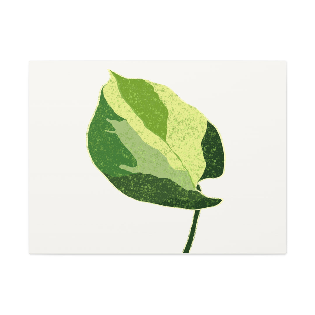 Manjula Pothos Botanical Canvas Print Matte Finish Stretched Canvas Wall Art 1.25 Inch Depth