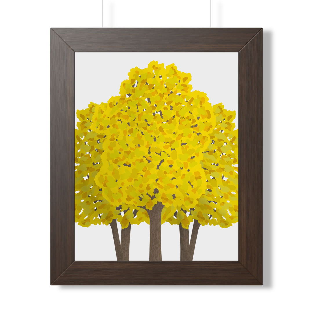 Big Leaf Maple Framed Print – Wall Art