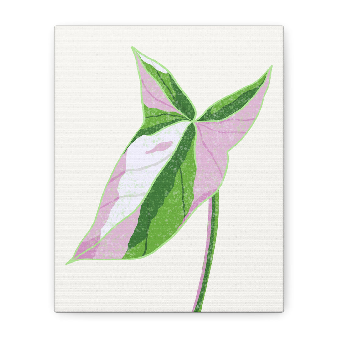 Syngonium Tricolor Canvas Print – Botanical Wall Art - The Potted Pixel
