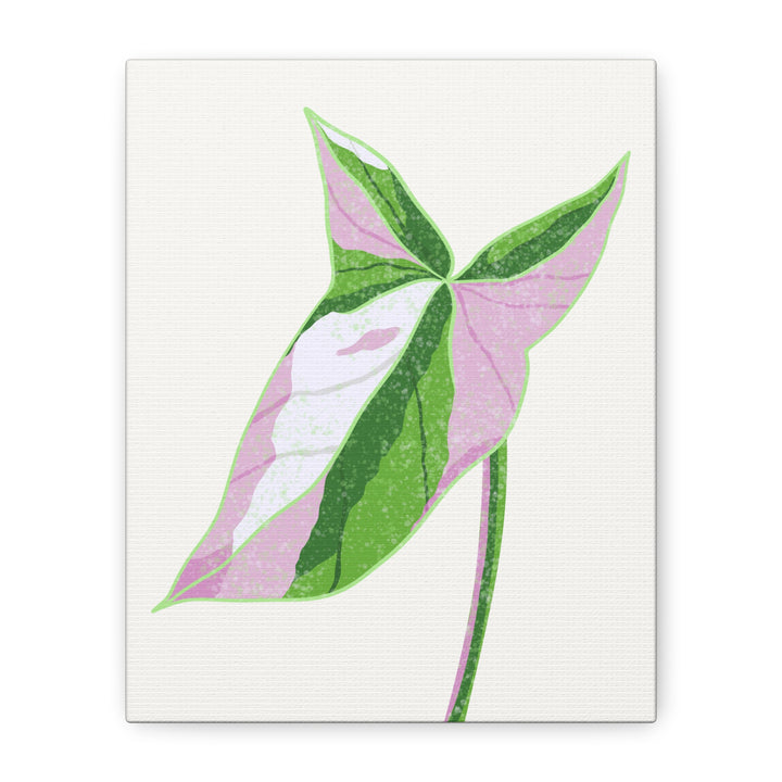 Syngonium Tricolor Canvas Print – Botanical Wall Art - The Potted Pixel