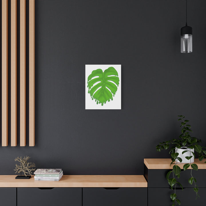 Melting Monstera Canvas Wall Art Large Botanical Print On Premium Cotton With Matte Finish For Indoor Decor