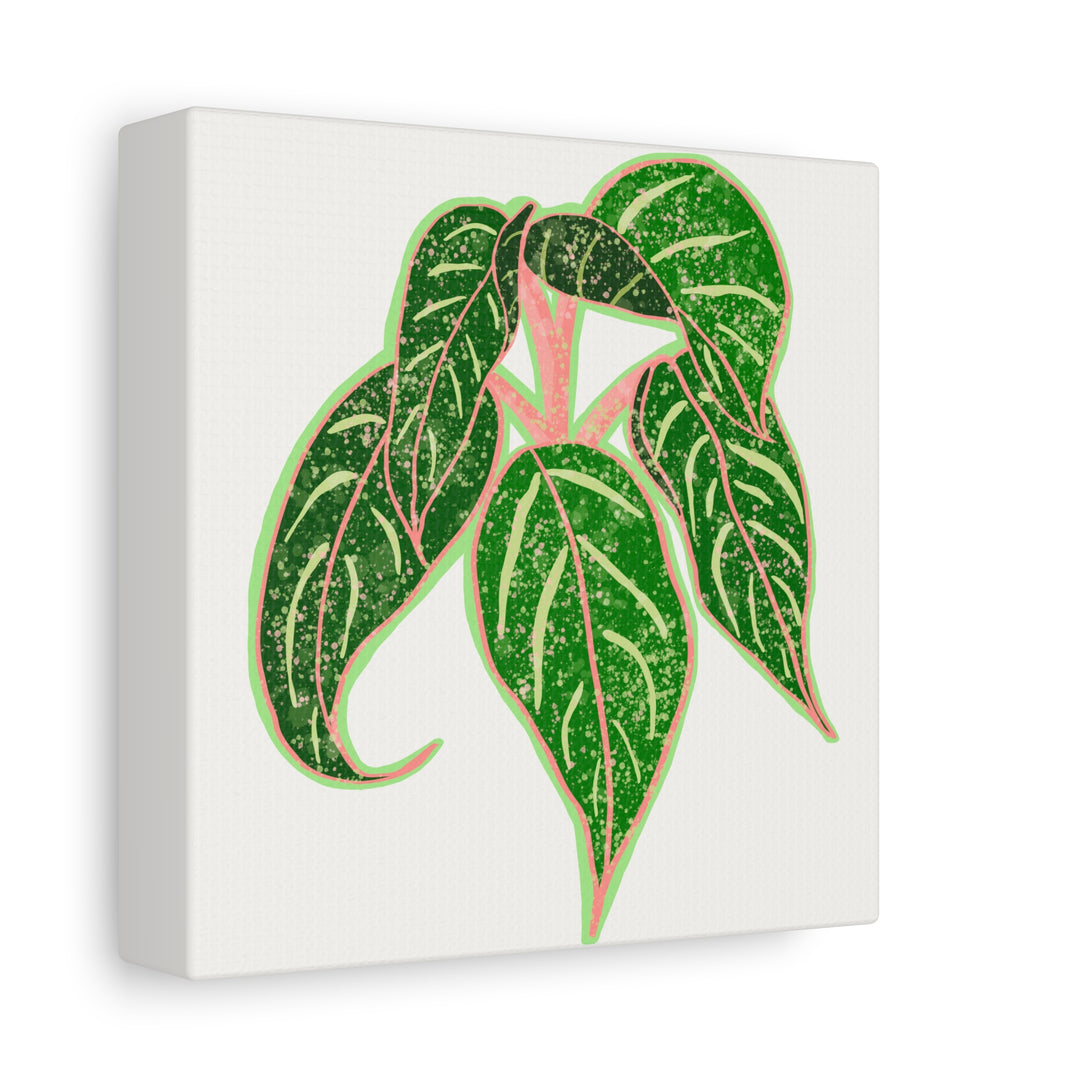 Aglaonema Sparkling Sarah Botanical Canvas Print On Matte Stretch Canvas For Modern Living Room Decor