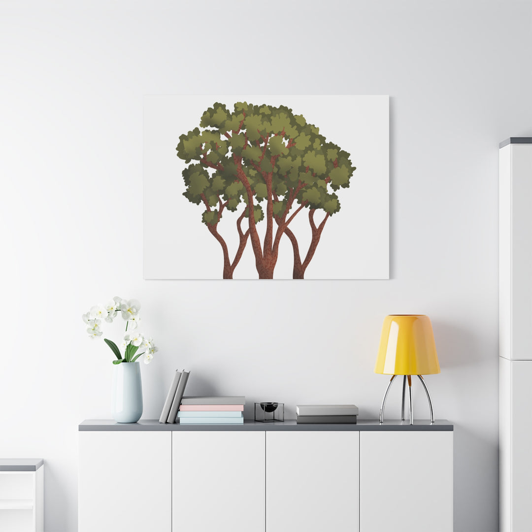Pacific Madrone Canvas Print – Wall Art