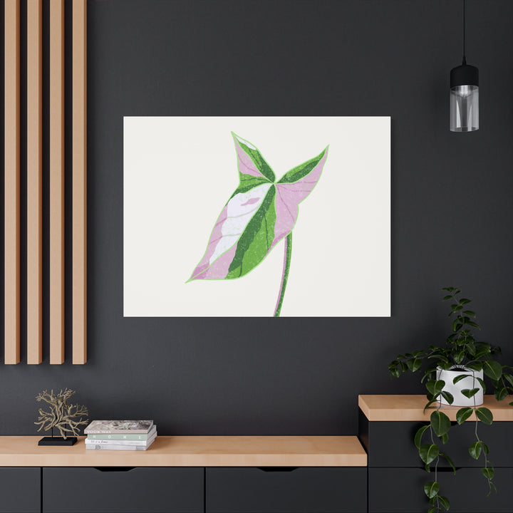 Syngonium Tricolor Canvas Print – Botanical Wall Art - The Potted Pixel