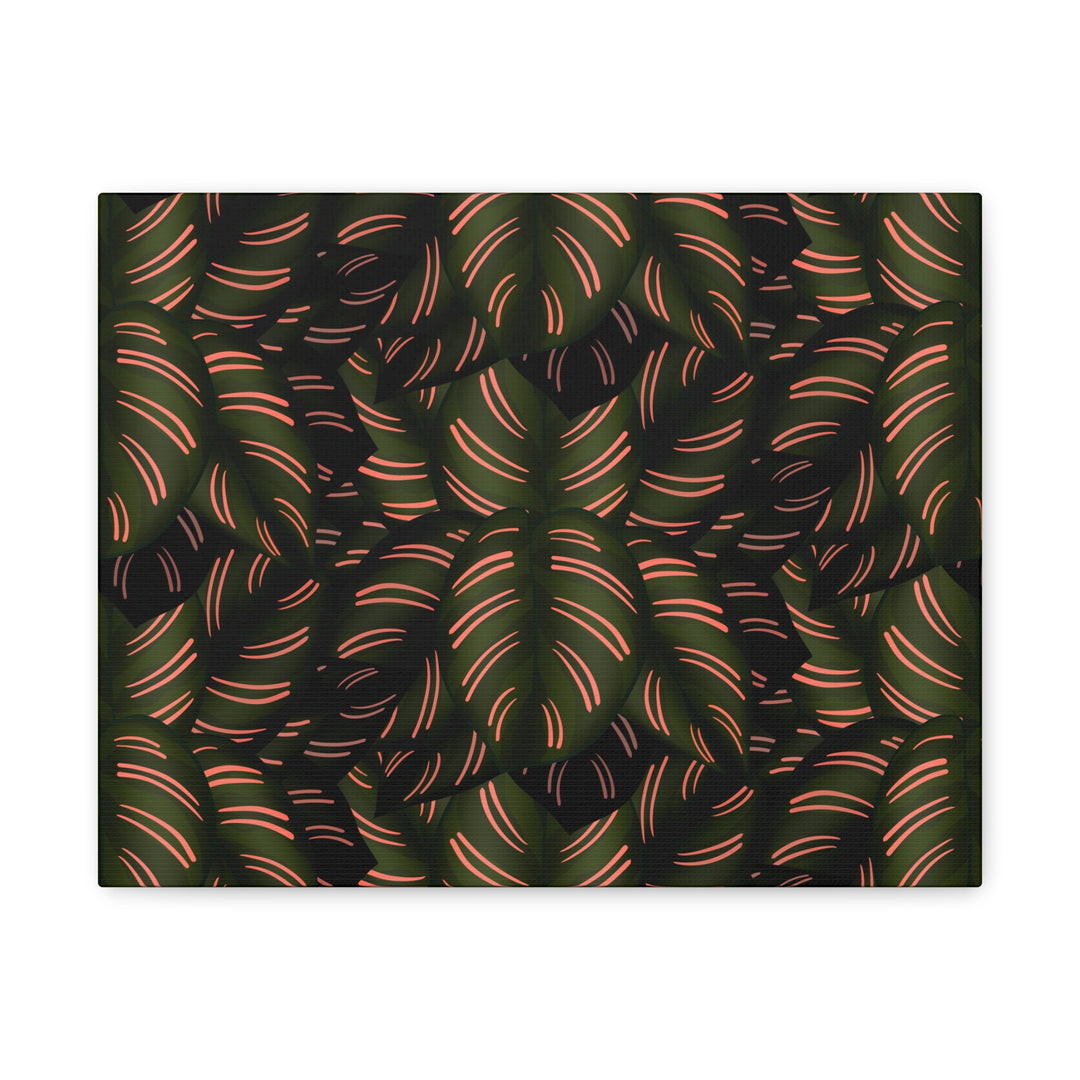 Calathea Pinstripe Canvas Print With Matte Finish Stretched Botanical Wall Art For Living Room Decor