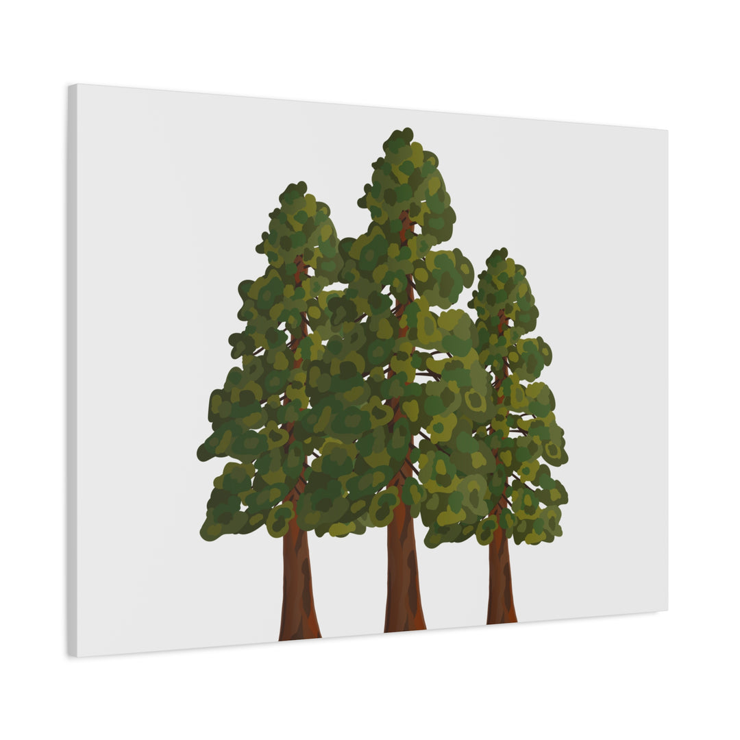 Coastal Redwoods Matte Canvas Print On 1.25 Inch Stretched Canvas For Serene Forest Wall Art In Living Rooms
