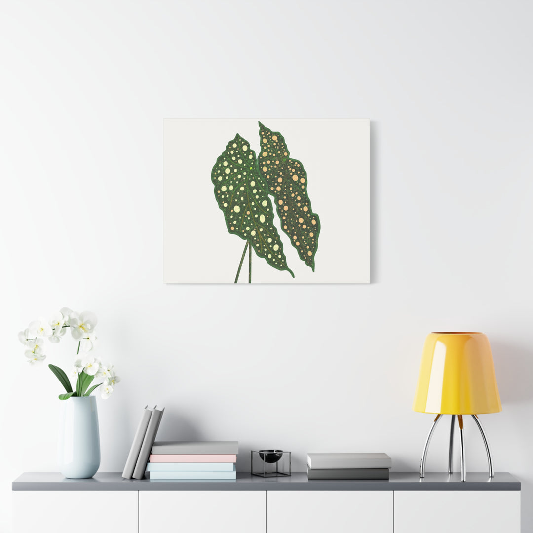 Begonia Maculata Canvas Premium Botanical Wall Art Print On Cotton Canvas With Matte Finish For Indoor Decor