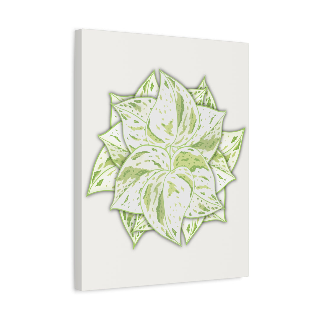 Snow Queen Pothos Canvas Wall Art Variegated Indoor Plant Leaf Poster Print Cotton Canvas