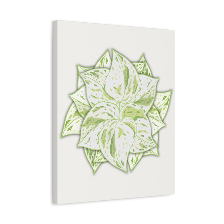 Snow Queen Pothos Canvas Wall Art Variegated Indoor Plant Leaf Poster Print Cotton Canvas